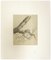 Albero sconosciuto, matita, inizio XX secolo, Immagine 2