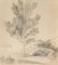 Inconnu, Arbre Seul, Crayon Sur Papier, 1817 1