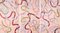 Trittico astratto di linee lenitive color pesca, acrilico su tela, 2020, Immagine 1