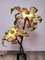 Vintage Brass Palm Lamp 23