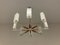 Lámpara de araña Mid-Century de palisandro con vidrio opalino y estructura de cromo, Imagen 4