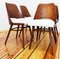 Mid-Century Dining Chairs by Oswald Haerdtl for Drevopodnik Holesov, Set of 4 3