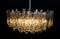 Fuente Crystal Ice Glass Chandelier from Kalmar, 1960s 8