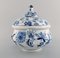 Large Antique Meissen Blue Onion Lidded Tureen in Hand-Painted Porcelain 4