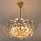 Crystal Chandelier in Brass and Crystal Glass from Bakalowits & Söhne, 1960s, Image 11
