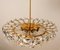 Crystal Chandelier in Brass and Crystal Glass from Bakalowits & Söhne, 1960s 12