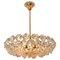 Crystal Chandelier in Brass and Crystal Glass from Bakalowits & Söhne, 1960s, Image 2