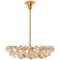 Crystal Chandelier in Brass and Crystal Glass from Bakalowits & Söhne, 1960s 1