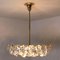 Crystal Chandelier in Brass and Crystal Glass from Bakalowits & Söhne, 1960s 8