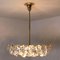 Crystal Chandelier in Brass and Crystal Glass from Bakalowits & Söhne, 1960s, Image 8