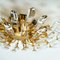 Crystal and Gilded Brass Italian Sconce / Flush Mount from Stilkronen 5