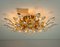 Crystal and Gilded Brass Italian Sconce / Flush Mount from Stilkronen 14