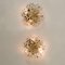 Glass and Brass Floral Wall Lights from Ernst Palme, 1970s, Set of 2 12