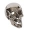 French Nickel-Plated Skull, 1950s 4
