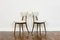 Model No. 124 Chairs by Helena, Jerzy Kurmanowicz, 1960s, Poland, Set of 8, Image 4