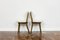 Model No. 124 Chairs by Helena, Jerzy Kurmanowicz, 1960s, Poland, Set of 8, Image 5