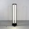 Black Fluorescent Floor Lamp by Gian Nicola Gigante for Zerbetto, 1980s, Image 4