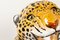Vintage Italian Life Size Terracotta Leopard, 1960s 15