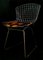 Sedia di Harry Bertoia per Knoll Inc. / Knoll International, 1952, Immagine 2