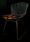Side Chair by Harry Bertoia for Knoll Inc. / Knoll International, 1952 2