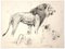 Wilhelm Lorenz - Study of Lion and Lioness - Original Drawing - Mid-20th Century, Image 1