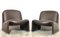 Tanglewood Model Alky Lounge Chairs by Giancarlo Piretti for Castelli / Anonima Castelli, 1970s, Set of 2 1