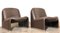 Tanglewood Model Alky Lounge Chairs by Giancarlo Piretti for Castelli / Anonima Castelli, 1970s, Set of 2, Image 3