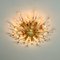 Paar italienischer Stilkronen Wandlampen aus Kristallglas & Vergoldetem Messing 15