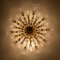 Applique Flushmount in cristallo e stilkronen in ottone dorato, Italia, Immagine 9