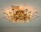 Paar italienischer Stilkronen Wandlampen aus Kristallglas & Vergoldetem Messing 16
