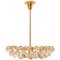 Chandelier in Brass and Crystal Glass from Bakalowits & Söhne, 1960s 1