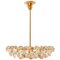 Chandelier in Brass and Crystal Glass from Bakalowits & Söhne, 1960s, Image 1