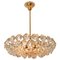 Chandelier in Brass and Crystal Glass from Bakalowits & Söhne, 1960s 2