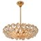 Chandelier in Brass and Crystal Glass from Bakalowits & Söhne, 1960s, Image 2