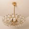 Chandelier in Brass and Crystal Glass from Bakalowits & Söhne, 1960s 3