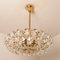 Chandelier in Brass and Crystal Glass from Bakalowits & Söhne, 1960s, Image 3