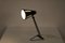 Sun Series Desk Lamp by H. Busquet for Hala, the Netherlands, 1950s 12