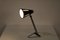 Sun Series Desk Lamp by H. Busquet for Hala, the Netherlands, 1950s, Image 12