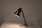 Sun Series Desk Lamp by H. Busquet for Hala, the Netherlands, 1950s, Image 3