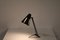 Sun Series Desk Lamp by H. Busquet for Hala, the Netherlands, 1950s 9