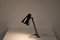 Sun Series Desk Lamp by H. Busquet for Hala, the Netherlands, 1950s, Image 9