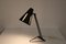 Sun Series Desk Lamp by H. Busquet for Hala, the Netherlands, 1950s 11