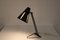 Sun Series Desk Lamp by H. Busquet for Hala, the Netherlands, 1950s, Image 11