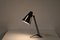 Lámpara de escritorio serie Sun de H. Busquet para Hala, Netherlands, años 50, Imagen 10