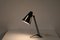 Sun Series Desk Lamp by H. Busquet for Hala, the Netherlands, 1950s 10