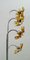 Metal, Chrome and Murano Glass Floor Lamp with Flowers from Mazzega, 1970s, Image 8