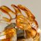 Orange and Clear Murano Glass & Chrome Chandelier from Mazzega, 1960s, Image 4