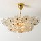 Floral Glass and Brass Flush Mount Chandelier by Ernst Palme, 1970s 2