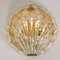 Golden Ice Glass Shell Wall Sconce from Kalmar, 1960s 4
