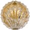 Golden Ice Glass Shell Wall Sconce from Kalmar, 1960s 1